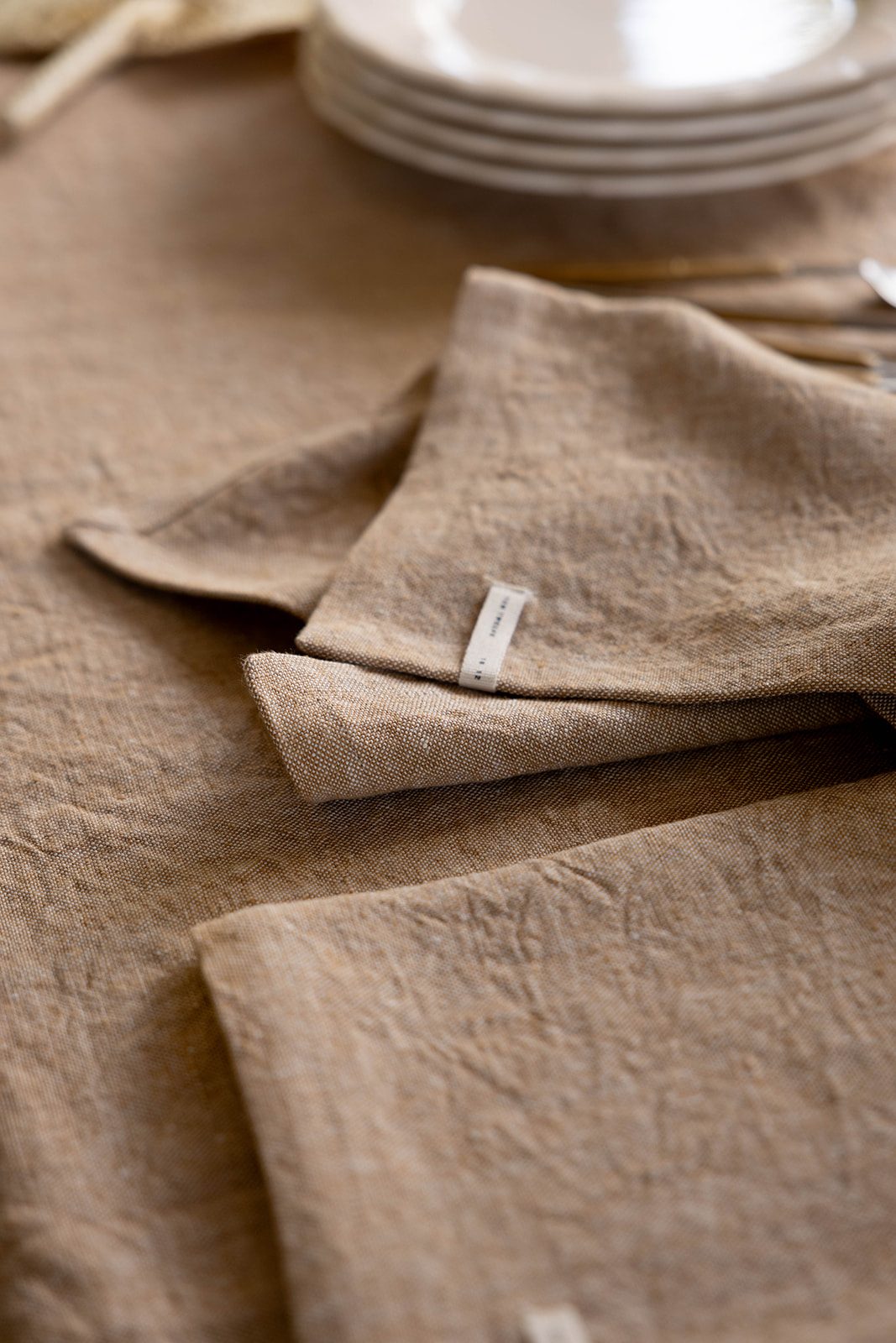 H. SALINAS · Tablecloth